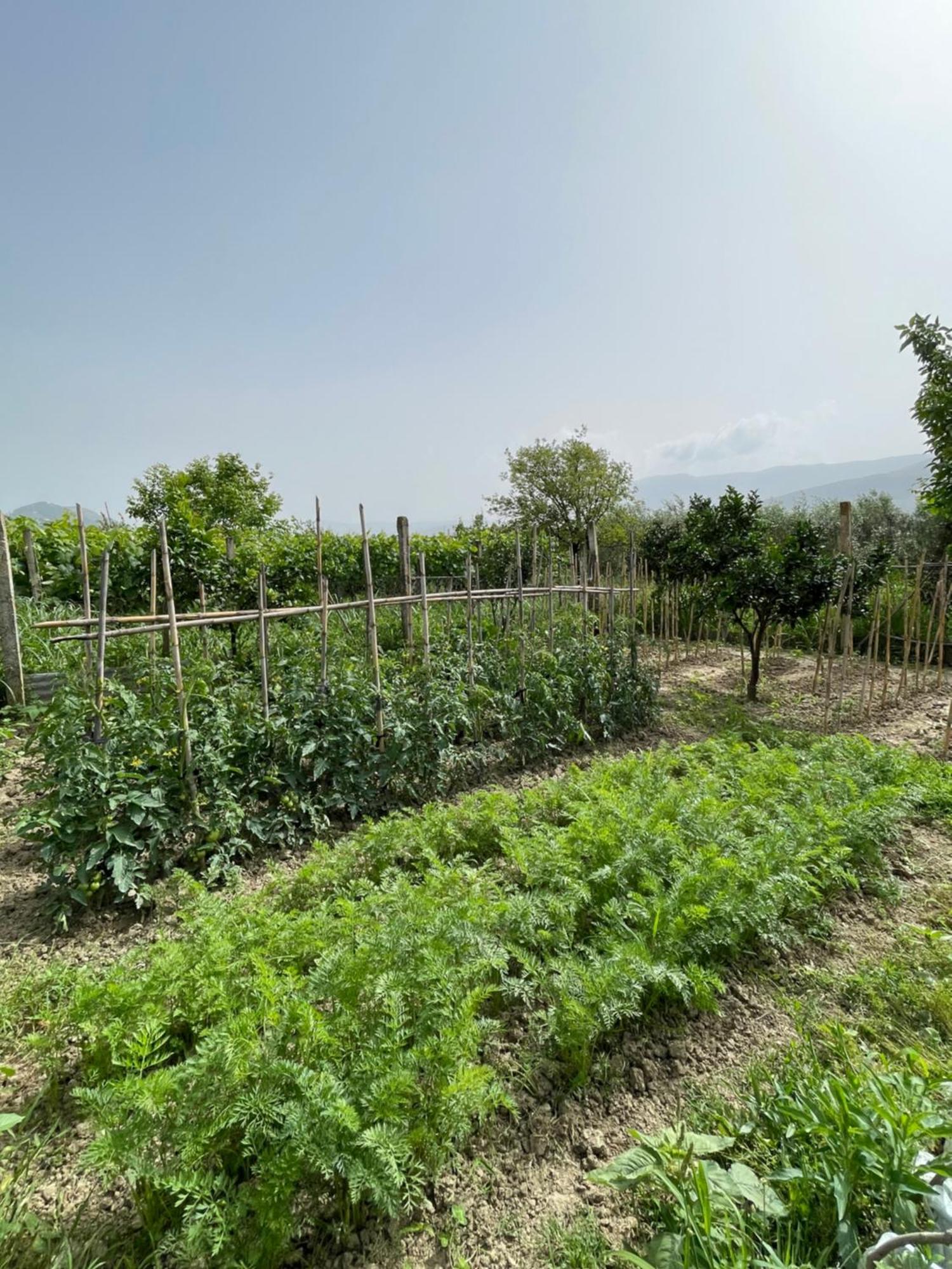 Alloggio in famiglia Mance Berat